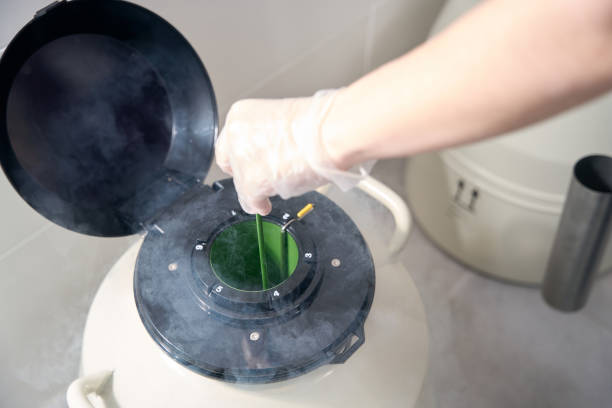 液氮罐蓋子 液氮罐蓋子